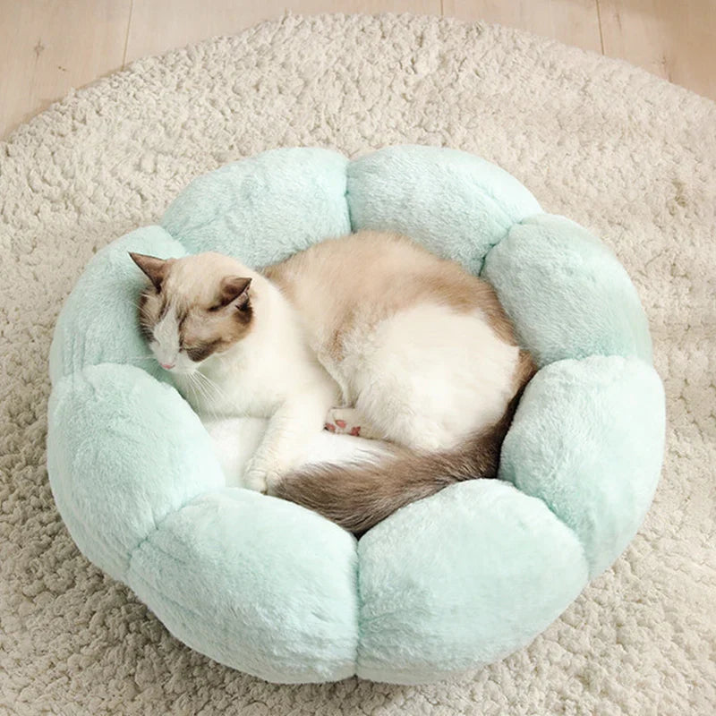 Cat Beds/Blankets