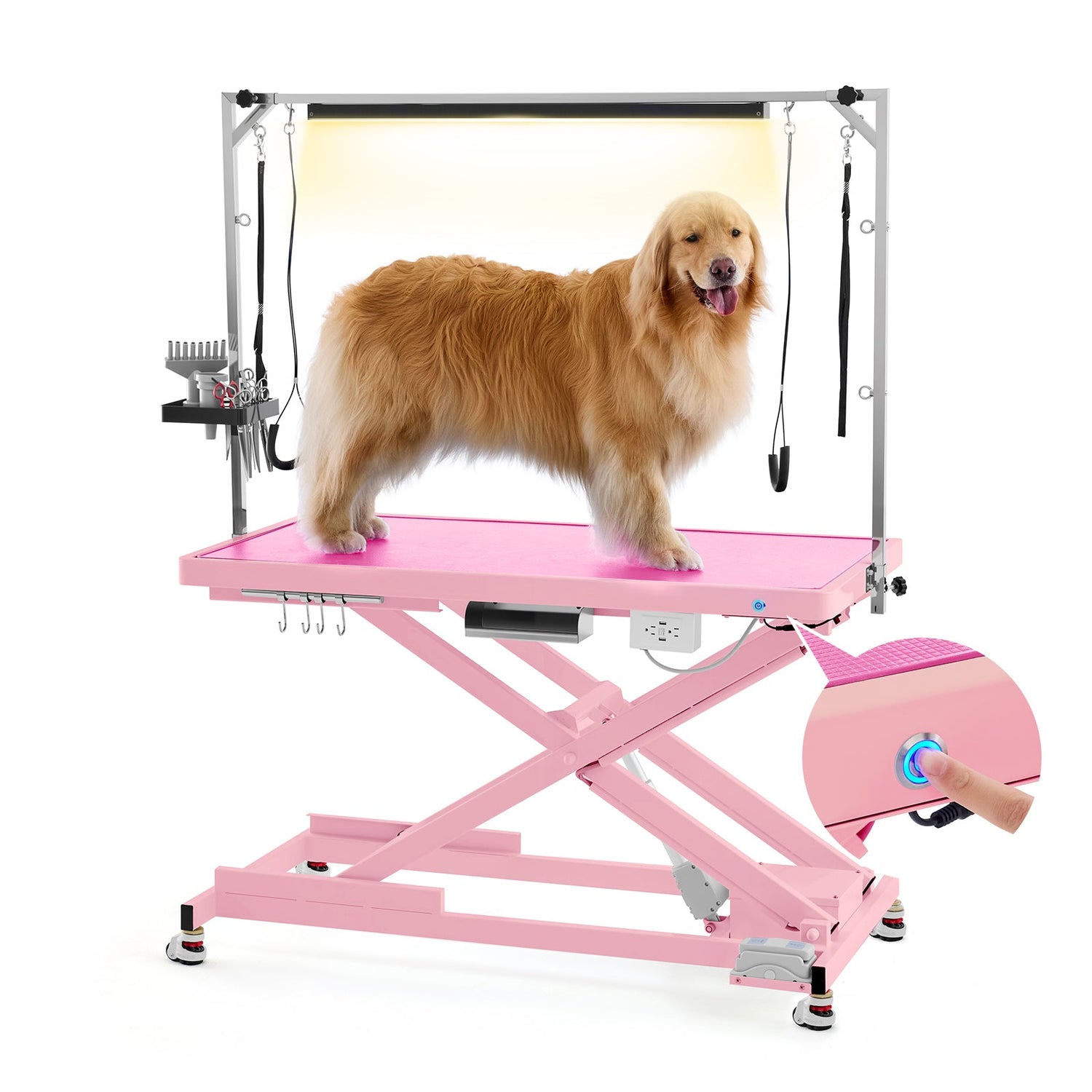 Grooming Supplies