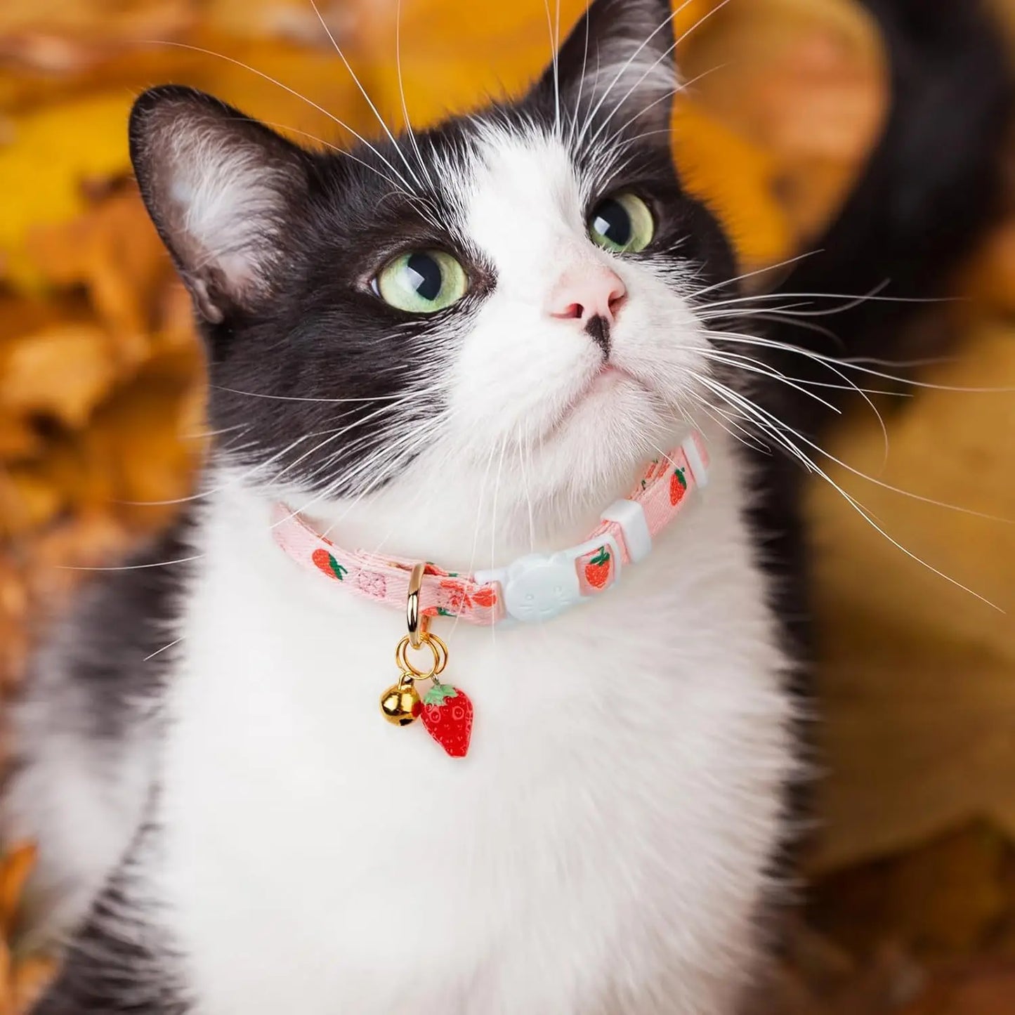 2 Pack Pink Strawberry Cat Collar with Bell, Adjustable Breakaway Safety Collar for Kittens