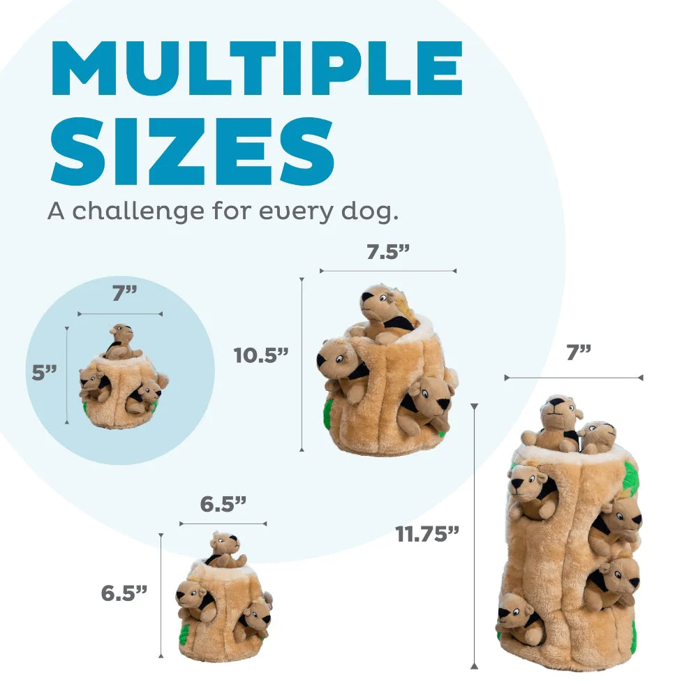 Interactive Plush Squirrel Hide Toy With 3 Squeaky Removable Squirrels For Small Dogs